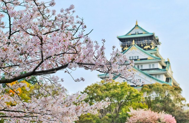 Tokyo-in-summer